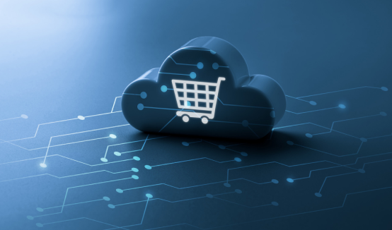 Growing Retail Chain: Cloud ERP for Rapid Multi-Location Scaling